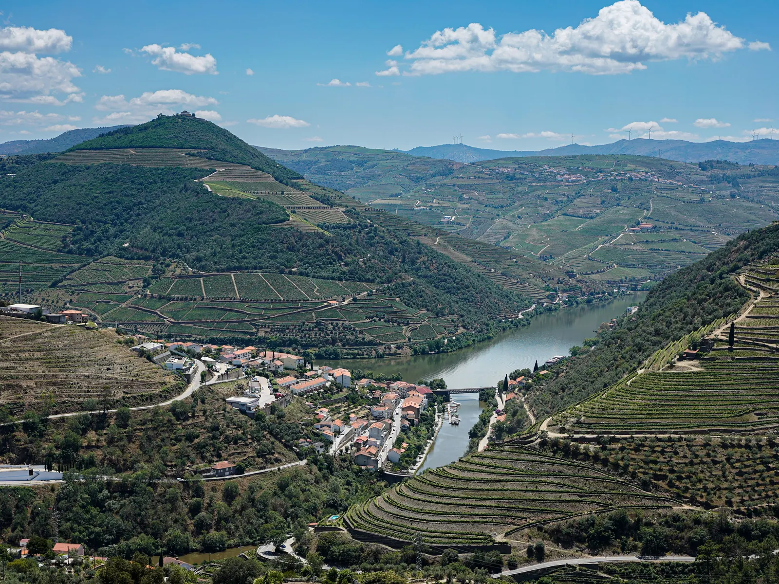 Terrassierte Weinberge über dem Fluss im Douro-Tal